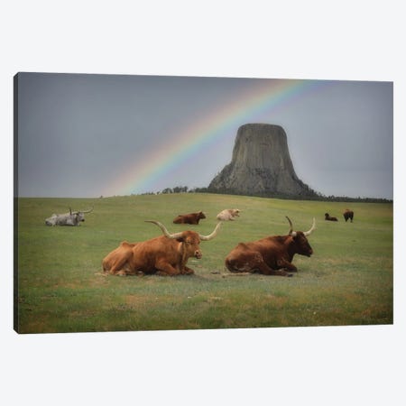 Devils Tower Rainbow Canvas Print #DSP163} by Dan Sproul Canvas Print