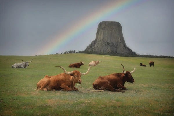 Rainbows: Devils Tower Rainbow by Dan Sproul