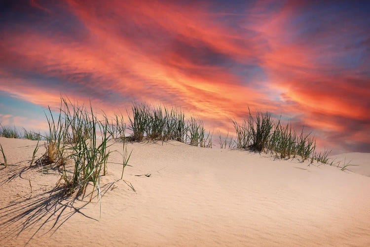 Sand Dune Sunset by Dan Sproul wall art