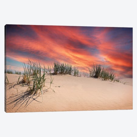 Sand Dune Sunset Canvas Print #DSP174} by Dan Sproul Canvas Art Print