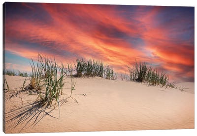 Sand Dune Sunset Canvas Art Print - Coastal Sand Dune Art