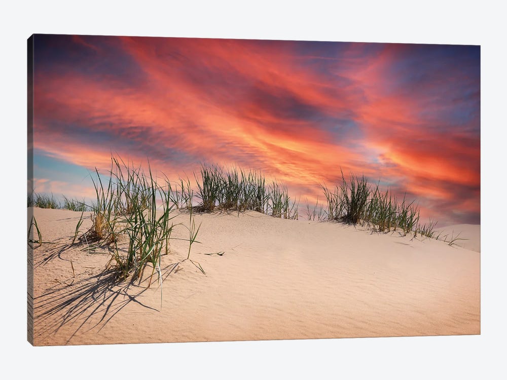 Sand Dune Sunset by Dan Sproul 1-piece Art Print