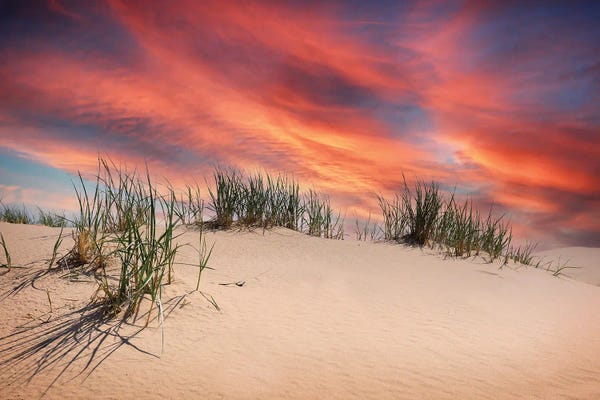Coastal Sand Dunes: Sand Dune Sunset by Dan Sproul