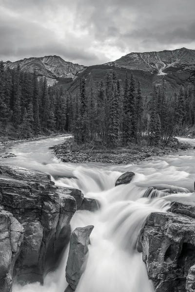 Alberta: Sunwapta Falls Black And White by Dan Sproul