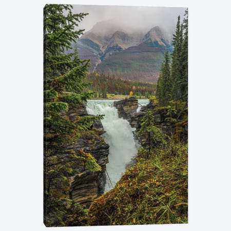 Athabasca Falls Canvas Print #DSP208} by Dan Sproul Canvas Artwork