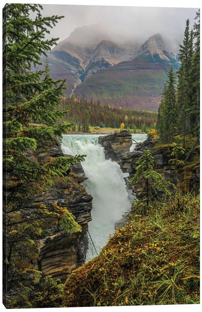 Athabasca Falls Canvas Art Print - Dan Sproul
