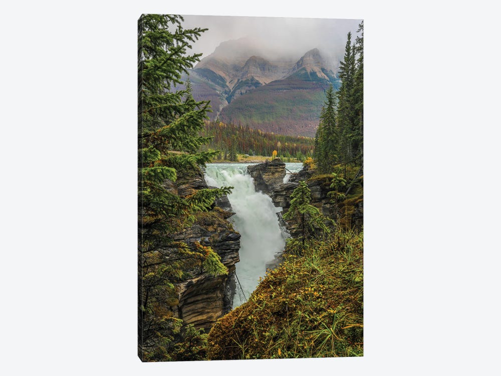 Athabasca Falls by Dan Sproul 1-piece Canvas Wall Art