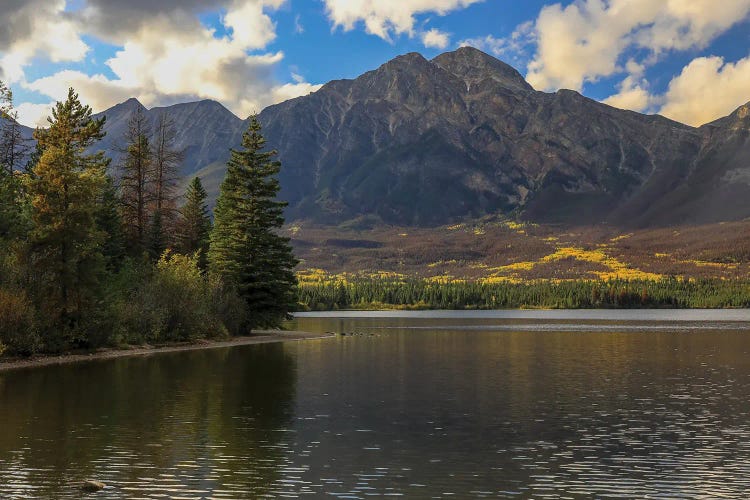 Mountain Lake In Autumn