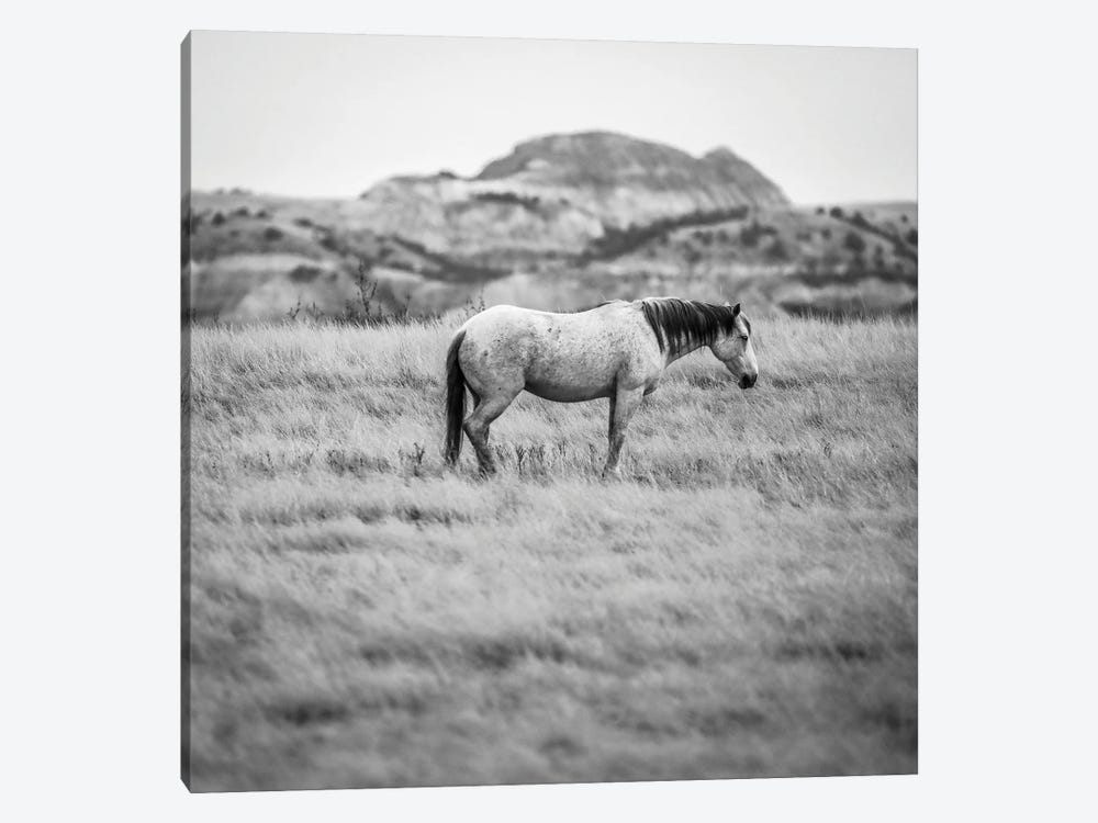 Wild Horse In The Badlands by Dan Sproul 1-piece Art Print
