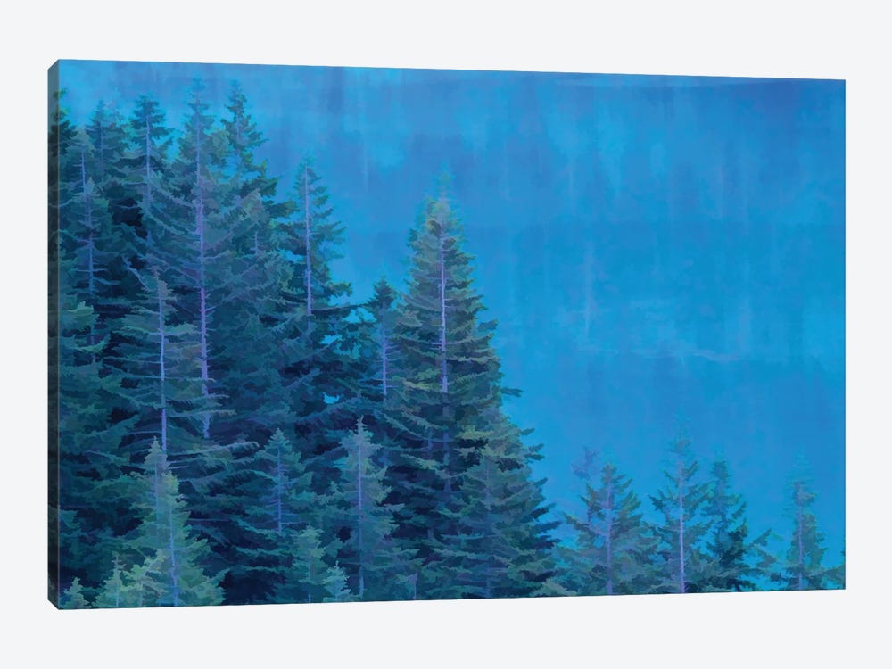 Evergreen Reflections by Dan Sproul 1-piece Canvas Wall Art