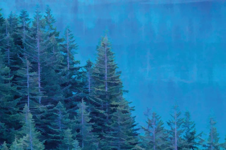 Evergreen Reflections by Dan Sproul wall art