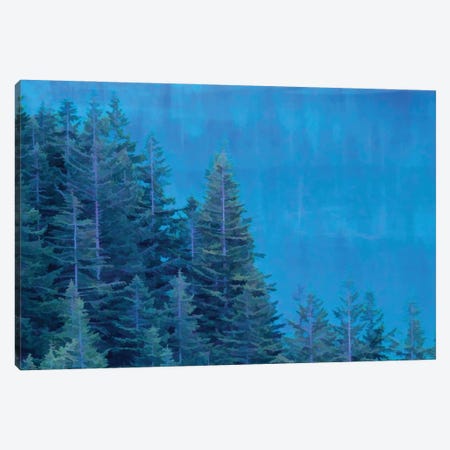 Evergreen Reflections Canvas Print #DSP228} by Dan Sproul Canvas Art