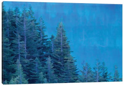 Evergreen Reflections Canvas Art Print - Dan Sproul