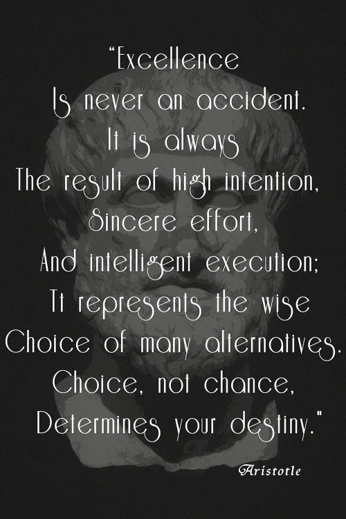 Aristotle Excellence Quote