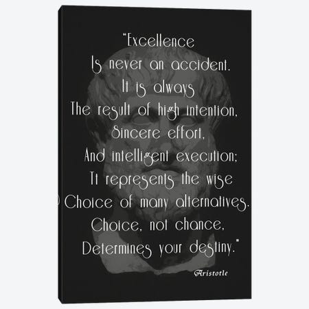Aristotle Excellence Quote Canvas Print #DSP237} by Dan Sproul Canvas Art