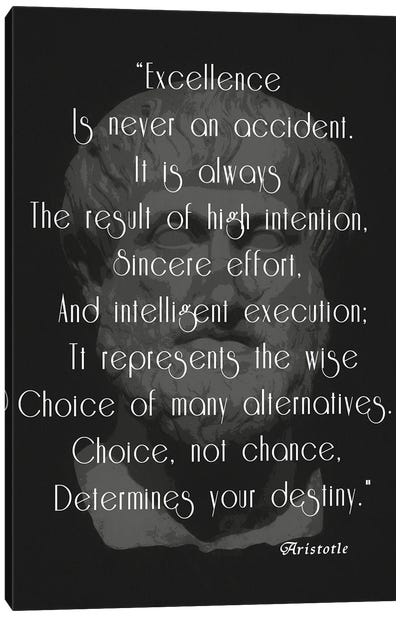 Aristotle Excellence Quote Canvas Art Print - Quotes & Sayings Art