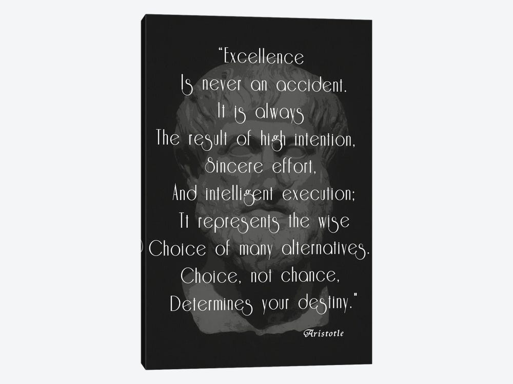 Aristotle Excellence Quote by Dan Sproul 1-piece Canvas Artwork