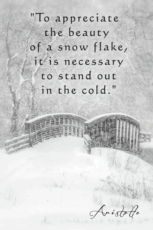 Aristotle Winter Quote by Dan Sproul wall art