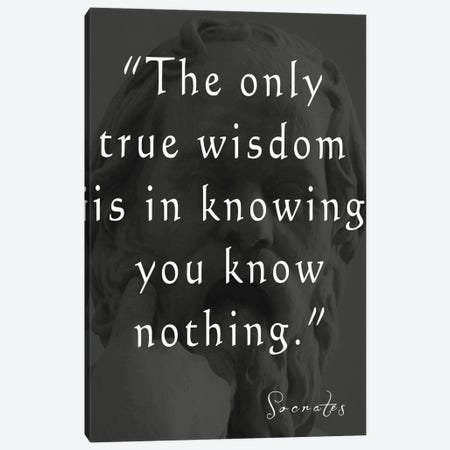 Socrates Quote Canvas Print #DSP239} by Dan Sproul Canvas Print
