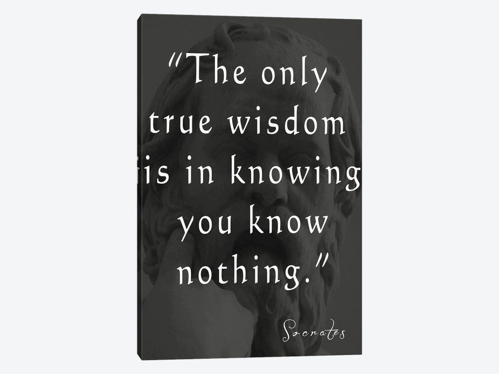 Socrates Quote by Dan Sproul 1-piece Canvas Artwork