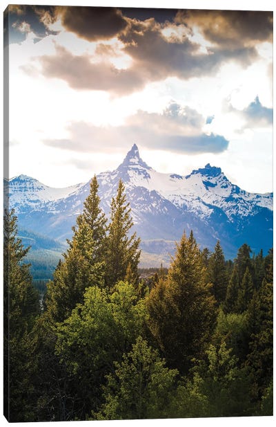 Beartooth Mountain Peak Canvas Art Print - Montana