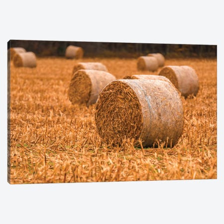 Rolled Hay On The Farm Canvas Print #DSP250} by Dan Sproul Canvas Print