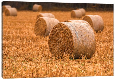 Rolled Hay On The Farm Canvas Art Print - Dan Sproul