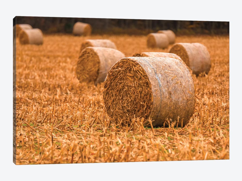 Rolled Hay On The Farm by Dan Sproul 1-piece Art Print