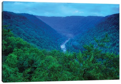 New River Gorge Canvas Art Print - Dan Sproul