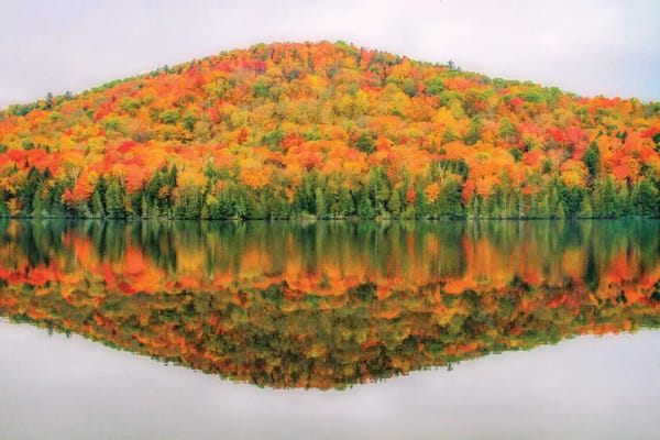 Autumn Reflection