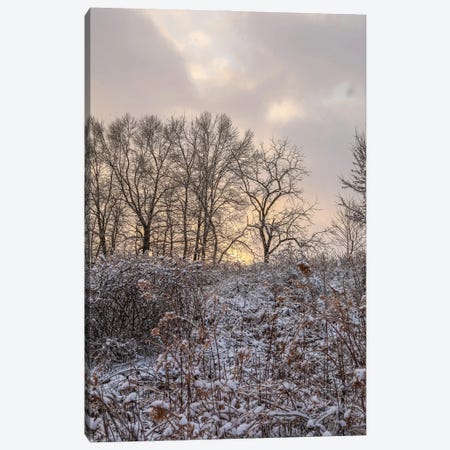 Magical Winter Sunrise Canvas Print #DSP268} by Dan Sproul Canvas Artwork