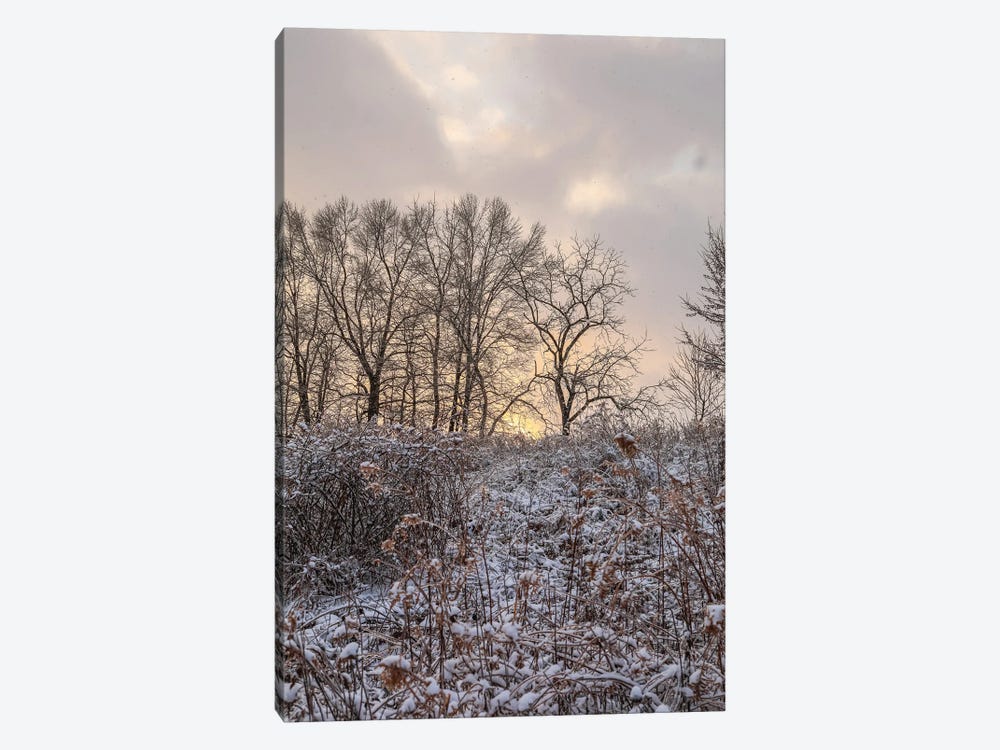 Magical Winter Sunrise by Dan Sproul 1-piece Canvas Art