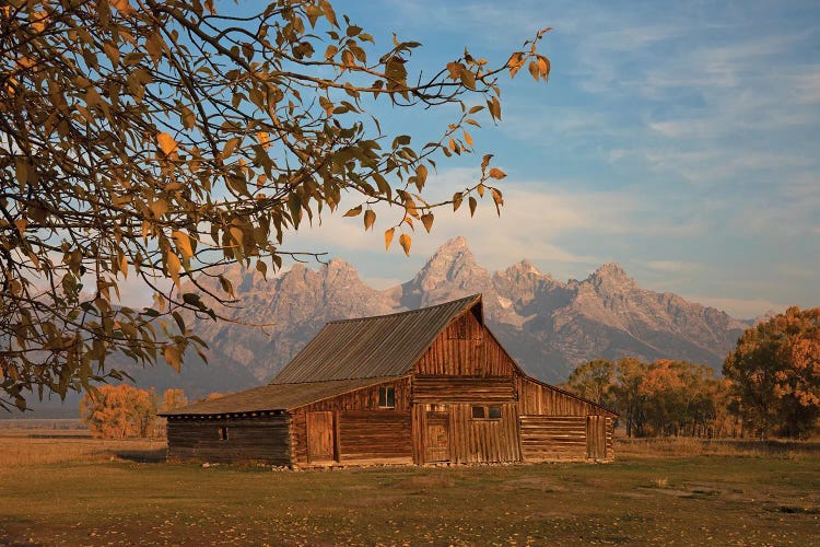 Moulton Barn In Autumn