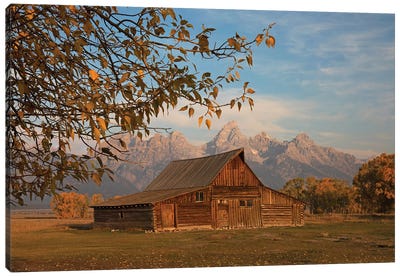 Moulton Barn In Autumn Canvas Art Print - Country Scenic Photography