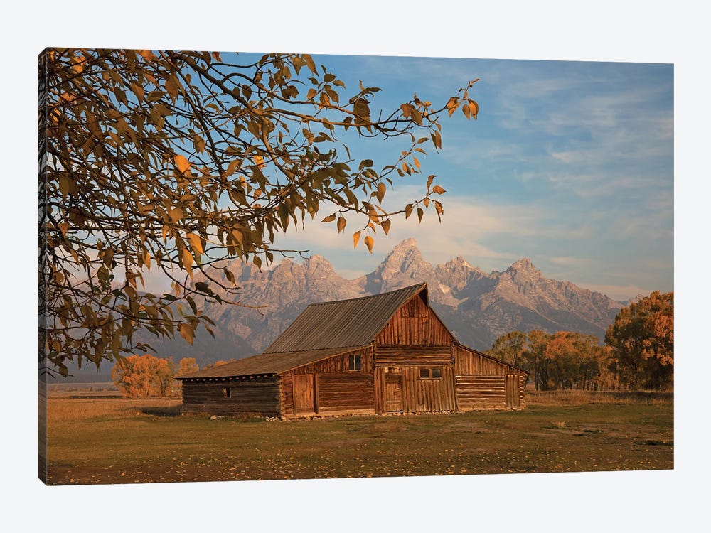 Moulton Barn In Autumn by Dan Sproul 1-piece Canvas Art Print