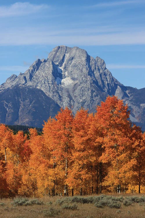 Mount Moran Fall Colors