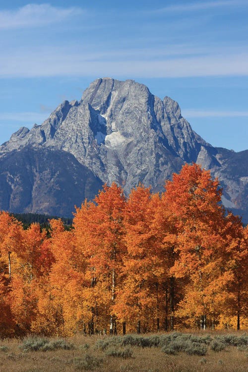 Mount Moran Fall Colors by Dan Sproul wall art