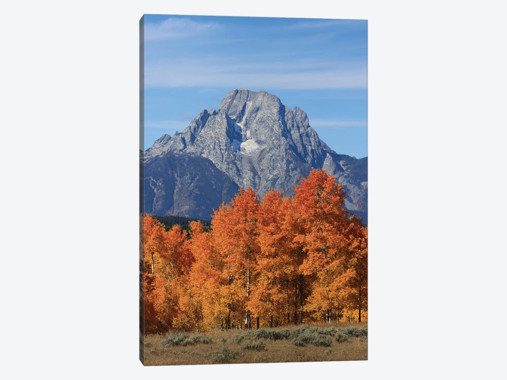 Mount Moran Fall Colors by Dan Sproul 1-piece Canvas Print