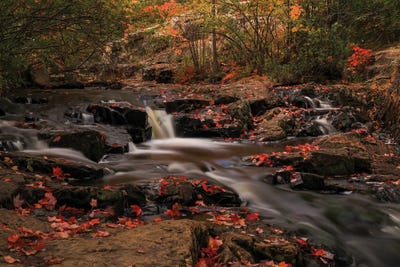 Beautiful Autumn Cascades by Dan Sproul framed canvas print