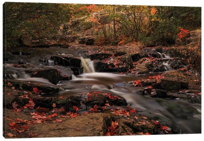 Beautiful Autumn Cascades Canvas Art Print - Dan Sproul