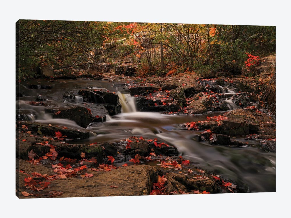 Beautiful Autumn Cascades by Dan Sproul 1-piece Canvas Print