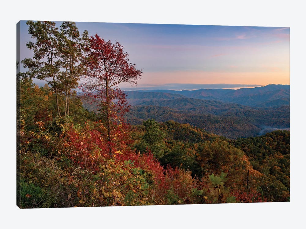 Blue Ridge Parkway Fall Sunset by Dan Sproul 1-piece Canvas Artwork