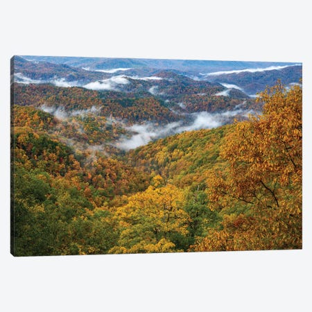 Autumn Colors Rising Fog In The Smokies Canvas Print #DSP277} by Dan Sproul Canvas Art