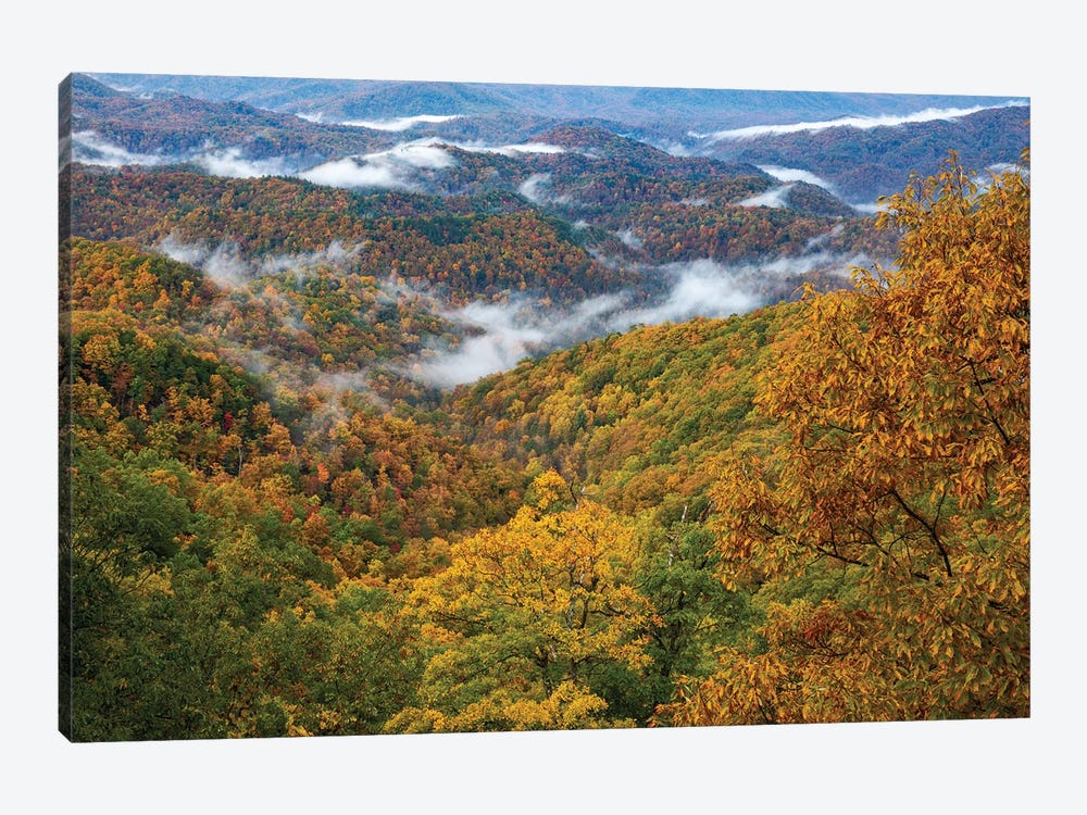 Autumn Colors Rising Fog In The Smokies by Dan Sproul 1-piece Canvas Artwork