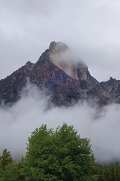 Green Trees And Mountains by Dan Sproul framed canvas print