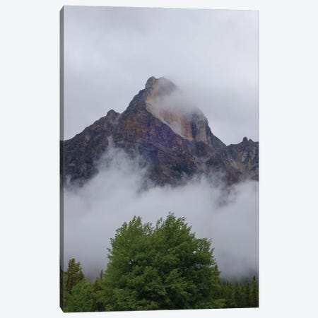 Green Trees And Mountains Canvas Print #DSP279} by Dan Sproul Art Print