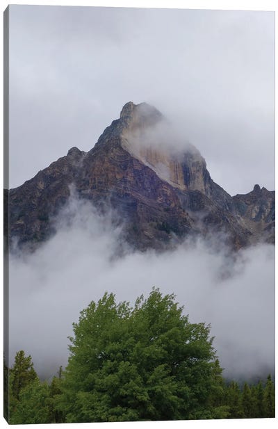 Green Trees And Mountains Canvas Art Print - Dan Sproul