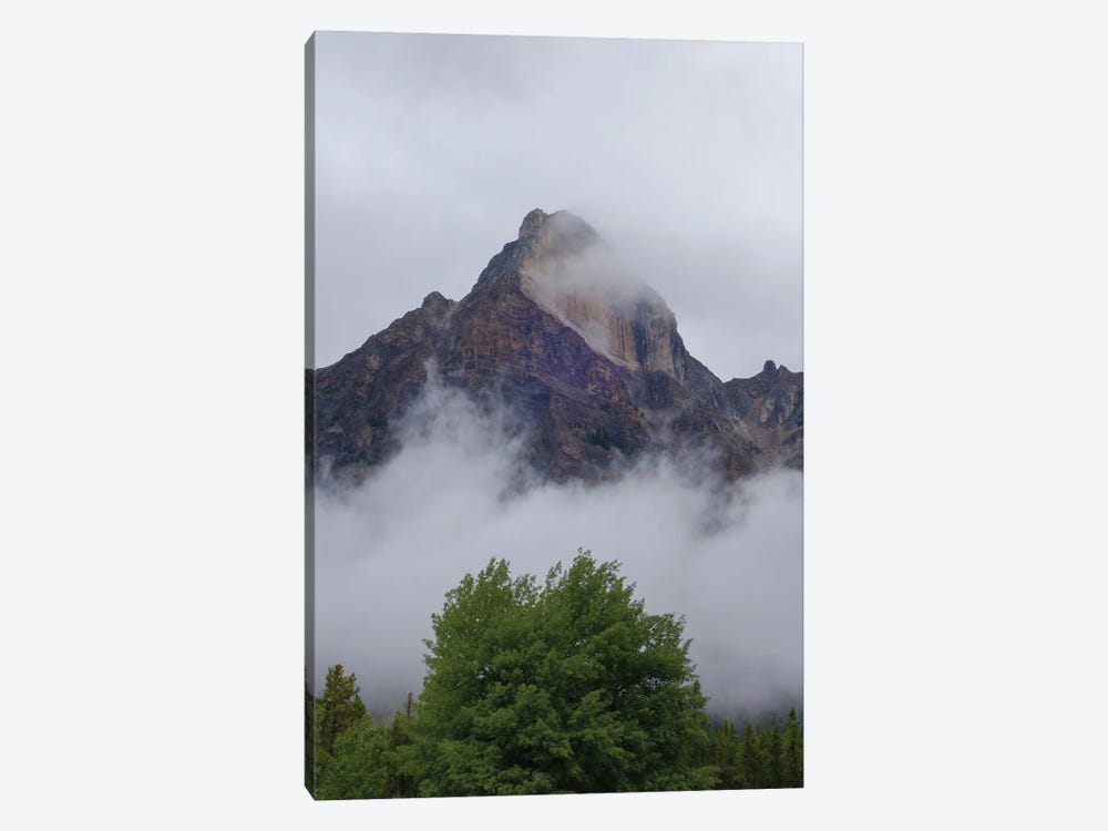 Green Trees And Mountains by Dan Sproul 1-piece Canvas Wall Art