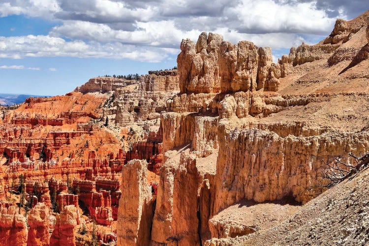 Bryce Canyon National Park Landscape by Dan Sproul wall art