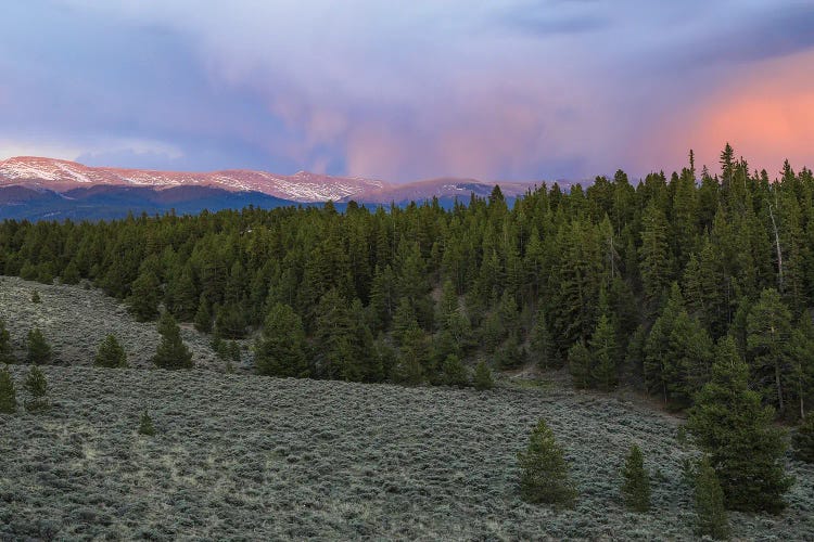 Mount Massive Wilderness Sunset by Dan Sproul wall art